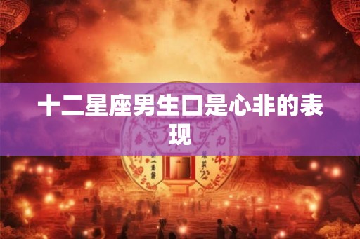 十二星座男生口是心非的表现
