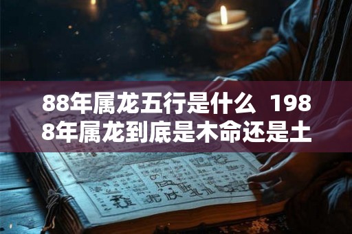 88年属龙五行是什么  1988年属龙到底是木命还是土命