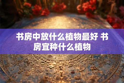 书房中放什么植物最好 书房宜种什么植物
