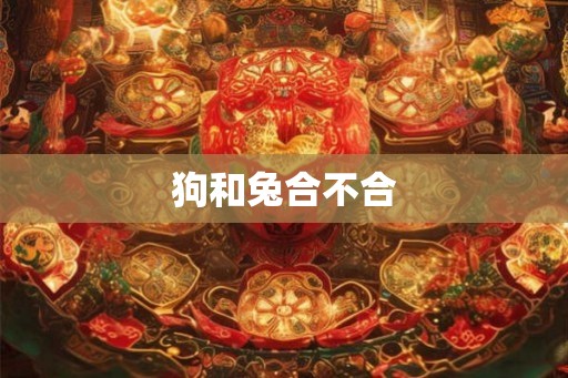 狗和兔合不合 狗和兔合不合