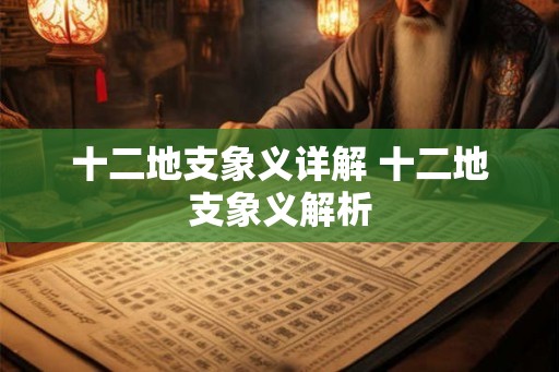 十二地支象义详解 十二地支象义解析