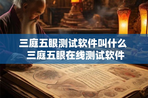 三庭五眼测试软件叫什么  三庭五眼在线测试软件