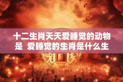 十二生肖天天爱睡觉的动物是  爱睡觉的生肖是什么生肖