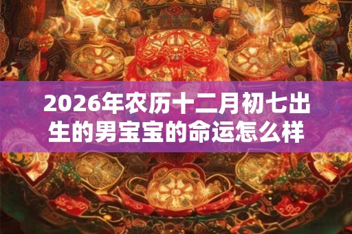 2026年农历十二月初七出生的男宝宝的命运怎么样