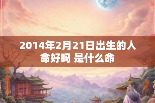 2014年2月21日出生的人命好吗 是什么命