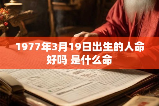 1977年3月19日出生的人命好吗 是什么命