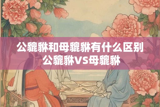 公貔貅和母貔貅有什么区别 公貔貅VS母貔貅 公貔貅和母貔貅有什么区别 公貔貅VS母貔貅