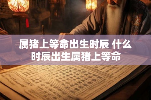 属猪上等命出生时辰 什么时辰出生属猪上等命 属猪上等命出生时辰 什么时辰出生属猪上等命