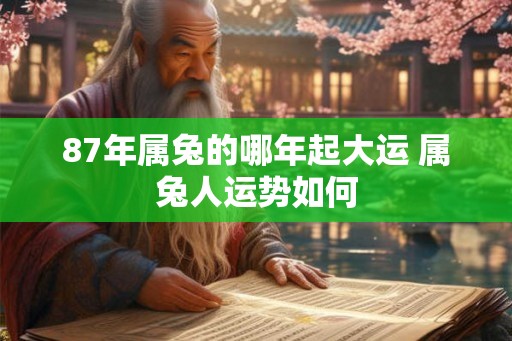 87年属兔的哪年起大运 属兔人运势如何