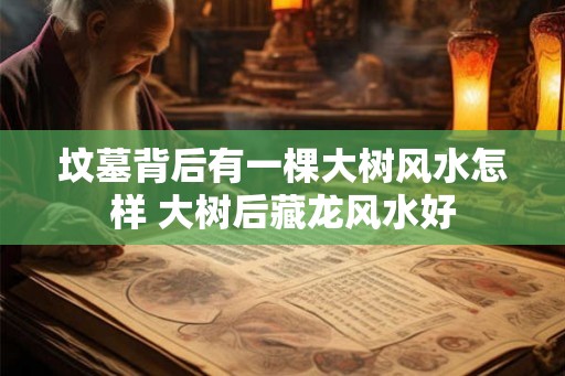 坟墓背后有一棵大树风水怎样 大树后藏龙风水好
