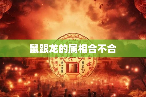 鼠跟龙的属相合不合
