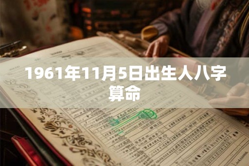 1961年11月5日出生人八字算命