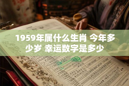 1959年属什么生肖 今年多少岁 幸运数字是多少