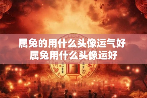 属兔的用什么头像运气好 属兔用什么头像运好 属兔的用什么头像运气好 属兔用什么头像运好