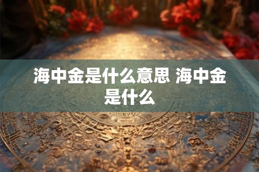 海中金是什么意思 海中金是什么