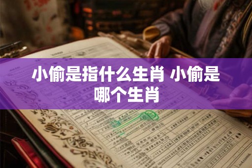 小偷是指什么生肖 小偷是哪个生肖