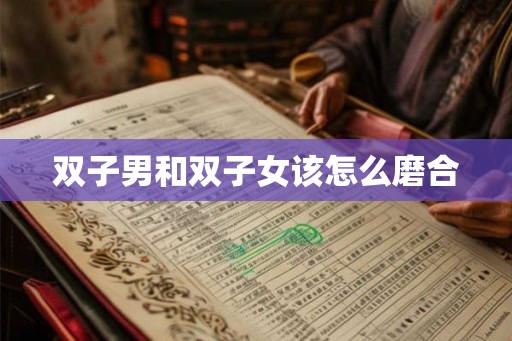 双子男和双子女该怎么磨合