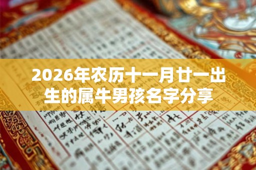 2026年农历十一月廿一出生的属牛男孩名字分享