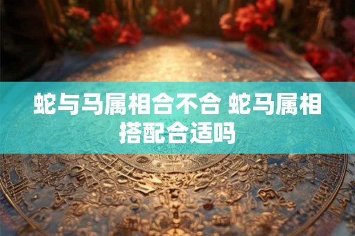蛇与马属相合不合 蛇马属相搭配合适吗