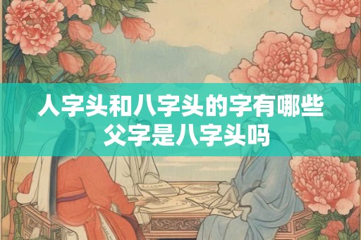 人字头和八字头的字有哪些  父字是八字头吗