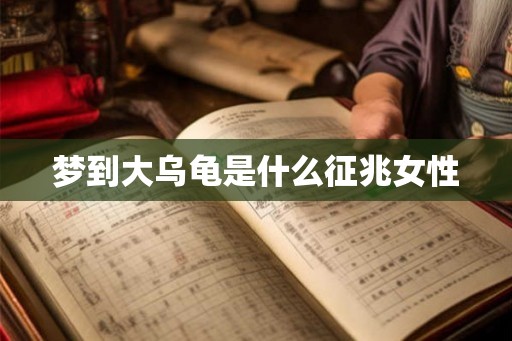 梦到大乌龟是什么征兆女性