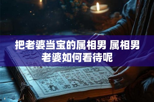 把老婆当宝的属相男 属相男老婆如何看待呢