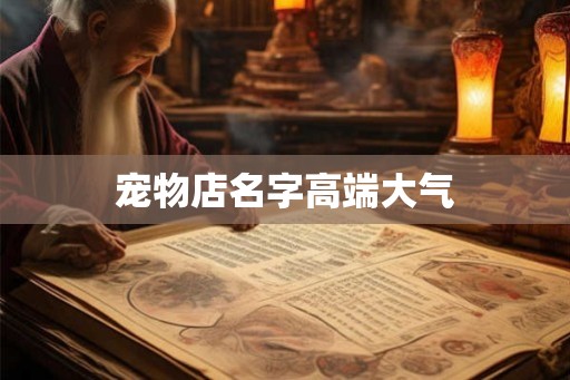 宠物店名字高端大气 宠物店名字高端大气