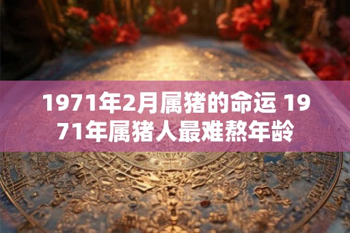 1971年2月属猪的命运 1971年属猪人最难熬年龄 1971年2月属猪的命运 1971年属猪人最难熬年龄