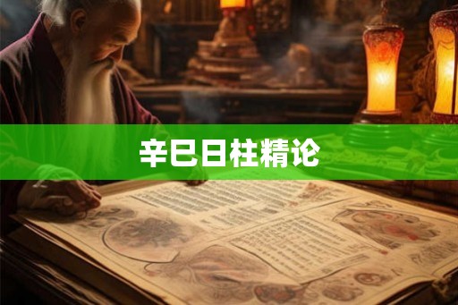 辛巳日柱精论