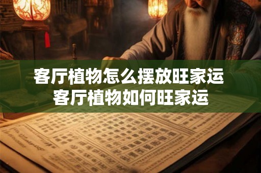 客厅植物怎么摆放旺家运 客厅植物如何旺家运 客厅植物怎么摆放旺家运 客厅植物如何旺家运