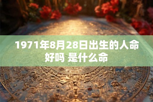 1971年8月28日出生的人命好吗 是什么命