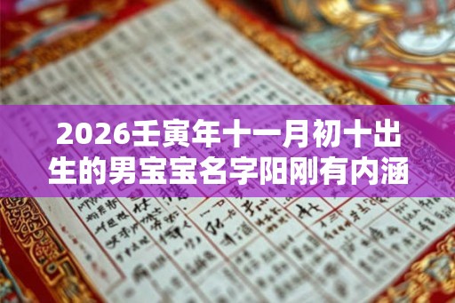 2026壬寅年十一月初十出生的男宝宝名字阳刚有内涵