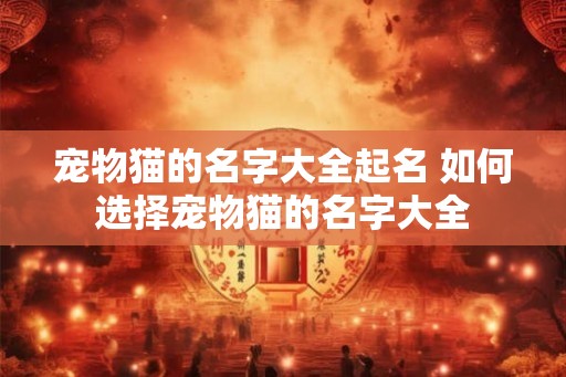 宠物猫的名字大全起名 如何选择宠物猫的名字大全