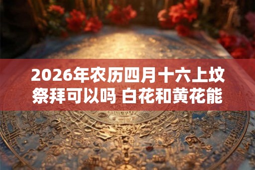 2026年农历四月十六上坟祭拜可以吗 白花和黄花能插在一起吗
