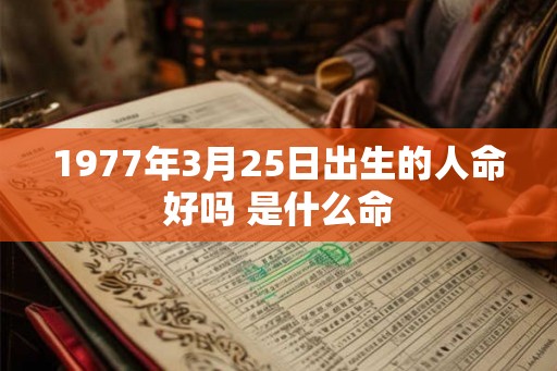 1977年3月25日出生的人命好吗 是什么命