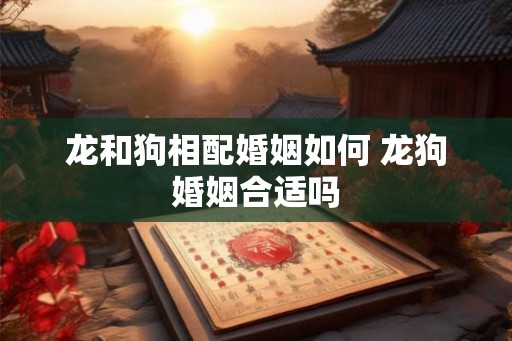 龙和狗相配婚姻如何 龙狗婚姻合适吗