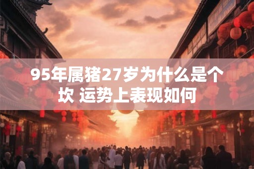 95年属猪27岁为什么是个坎 运势上表现如何