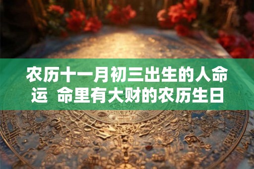农历十一月初三出生的人命运  命里有大财的农历生日