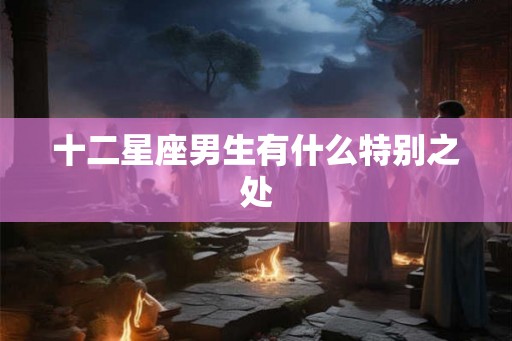 十二星座男生有什么特别之处