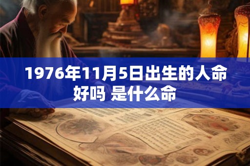 1976年11月5日出生的人命好吗 是什么命