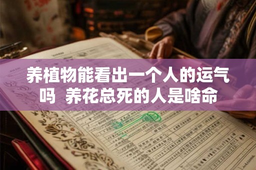 养植物能看出一个人的运气吗 养花总死的人是啥命 养植物能看出一个人的运气吗 养花总死的人是啥命