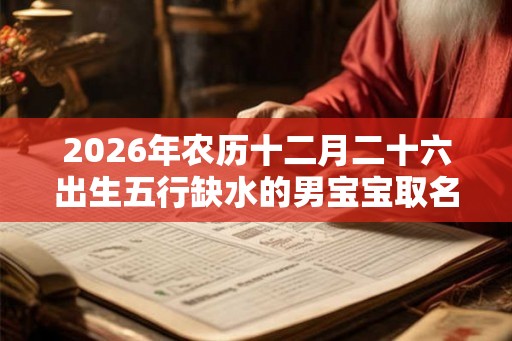 2026年农历十二月二十六出生五行缺水的男宝宝取名字
