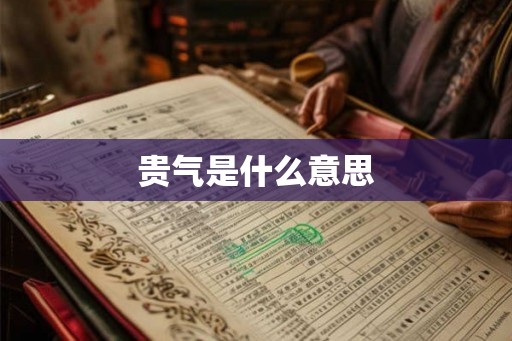贵气是什么意思