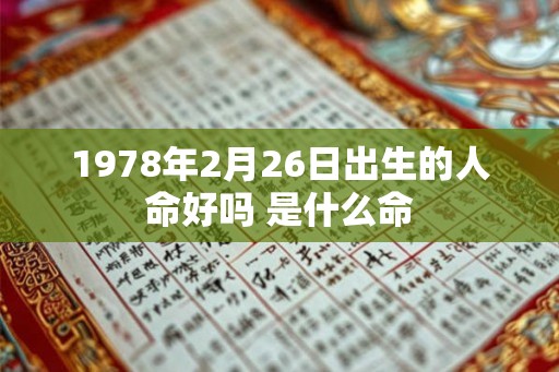 1978年2月26日出生的人命好吗 是什么命