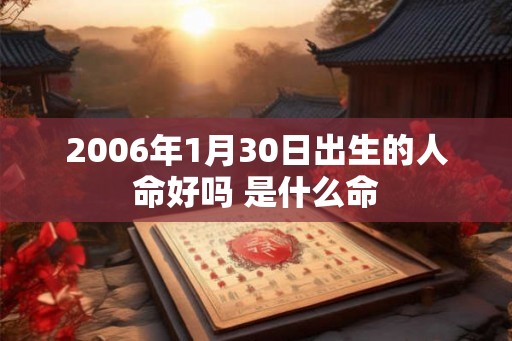 2006年1月30日出生的人命好吗 是什么命