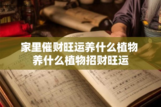 家里催财旺运养什么植物 养什么植物招财旺运