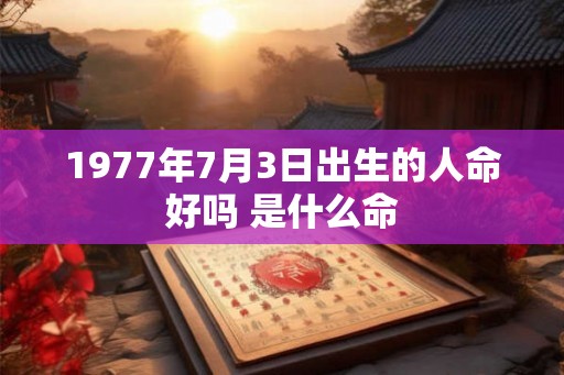 1977年7月3日出生的人命好吗 是什么命