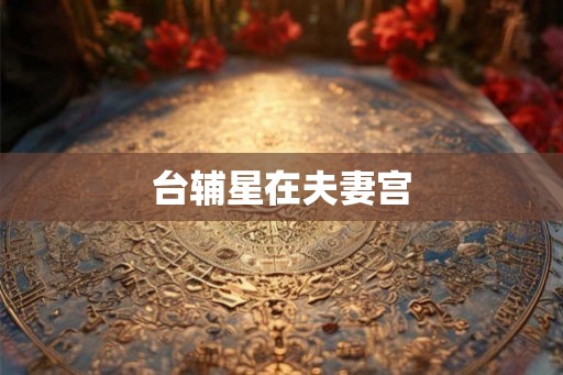 台辅星在夫妻宫 台辅星在夫妻宫