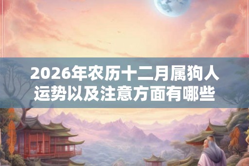 2026年农历十二月属狗人运势以及注意方面有哪些