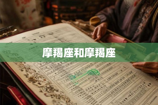 摩羯座和摩羯座